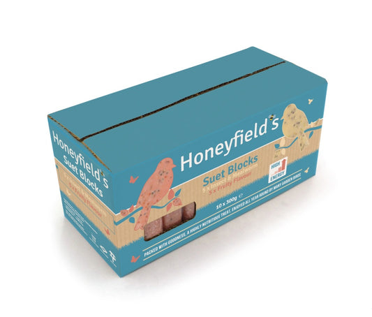 Honeyfield's Suet Block 5 Fruity 5 Insect