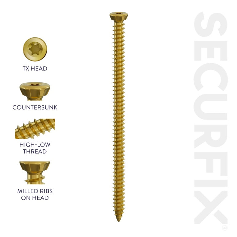 Securfix Trade Pack Concrete Frame Screw 10 Pack