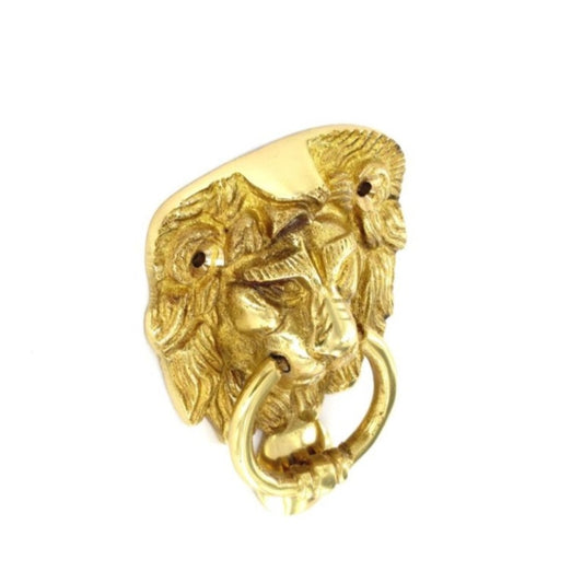 Securit Brass lion head knocker face fix
