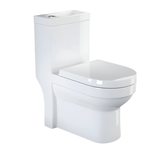 SP 2 In 1 Toilet, Sink & Tap