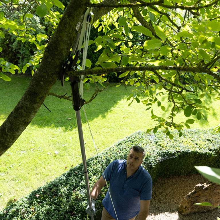 Cortadora de árboles telescópica Wilkinson Sword