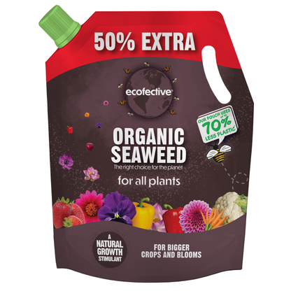 Ecofective Organic Seaweed 1.2L