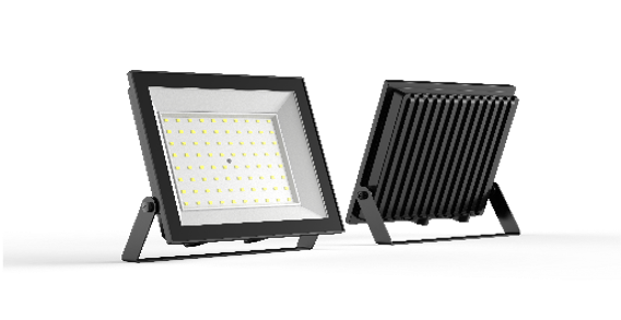 Securlec LED Floodlight