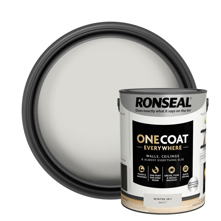 Ronseal One Coat Pintura para todas partes Winter Sky Matt