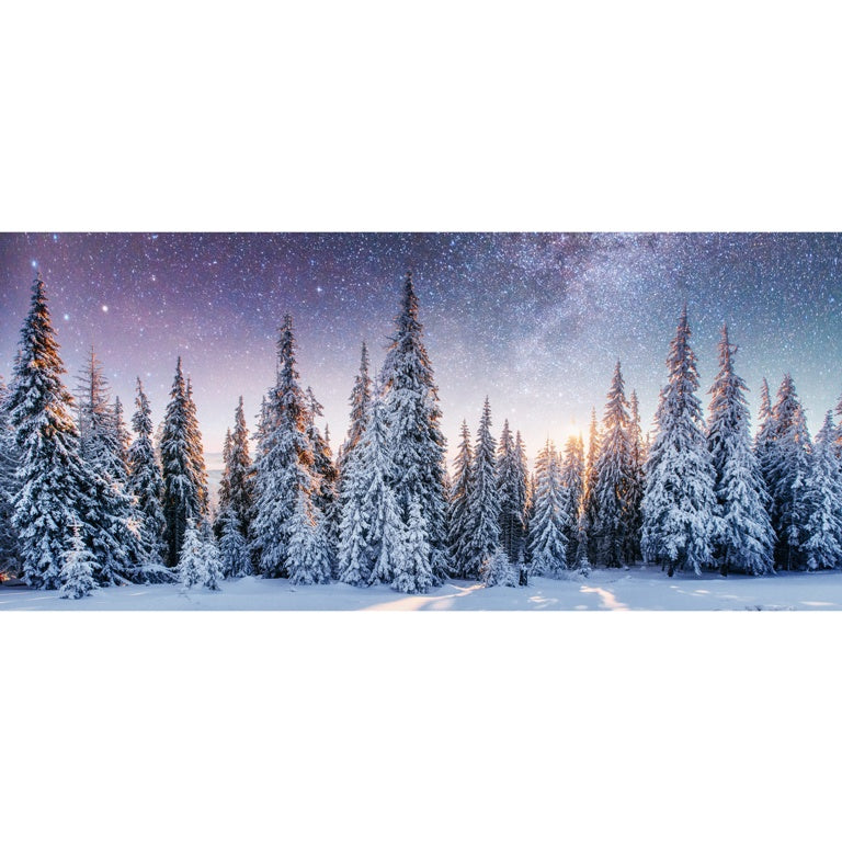 Premier Twilight Snow Forest Backdrop