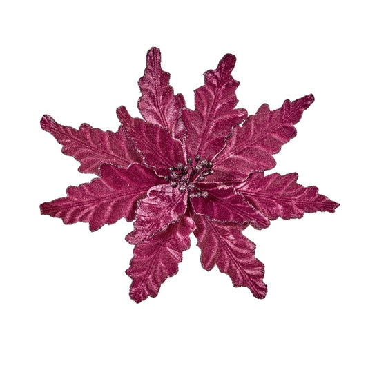 Premier Plum Poinsettia Velour On Clip