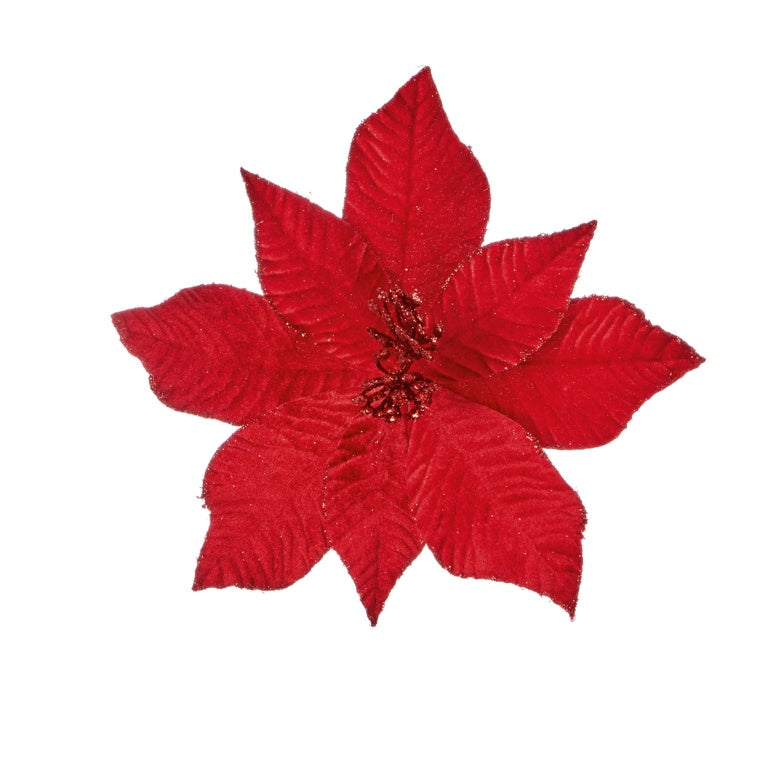 Premier Red Velvet Poinsettia Flower