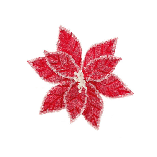 Premier Red White Iced Poinsettia Flower