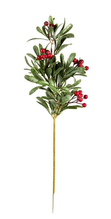 Premier Dusty Mistletoe Stem