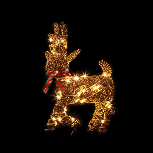 Premier Outdoor Walking Reindeer 40 Warm White LEDs