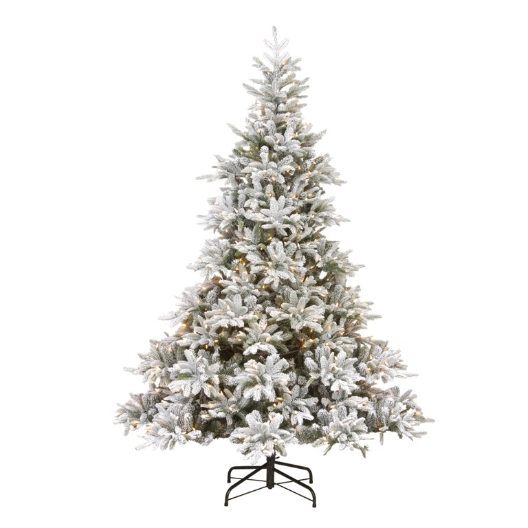 Premier Prelit Frosted Andorra Fir 350 LEDs