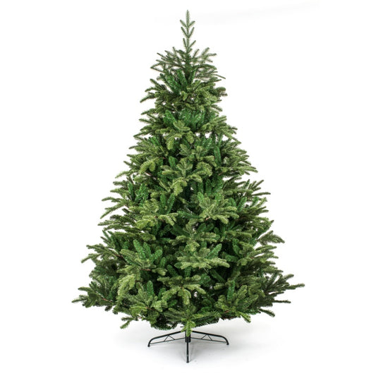 Premier Nordmann Fir