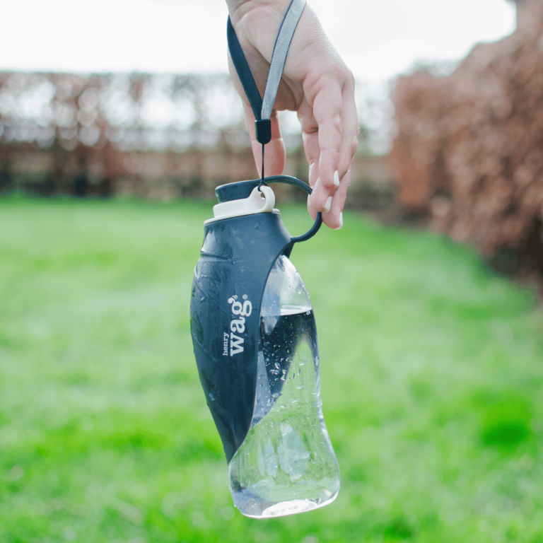 Henry Wag Water Bottle With Leaf Bowl