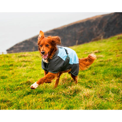 Henry Wag Waterproof Dog Coat