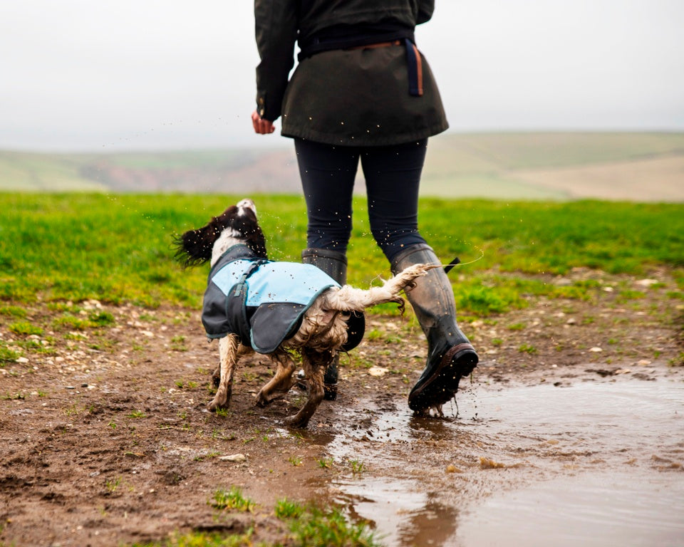 Henry Wag Waterproof Dog Coat