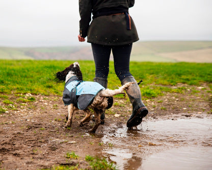 Henry Wag Waterproof Dog Coat