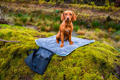 Henry Wag Easy Roll Travel Pet Bed
