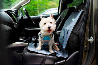 Henry Wag Single Car Seat Protector