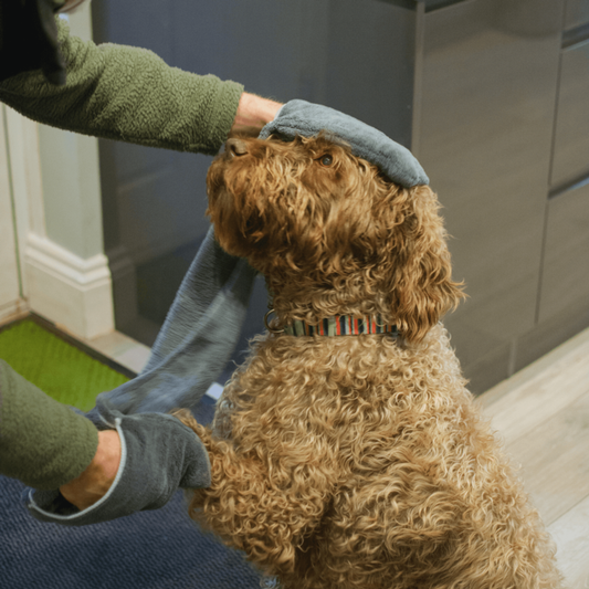 Henry Wag Pet Glove Towel