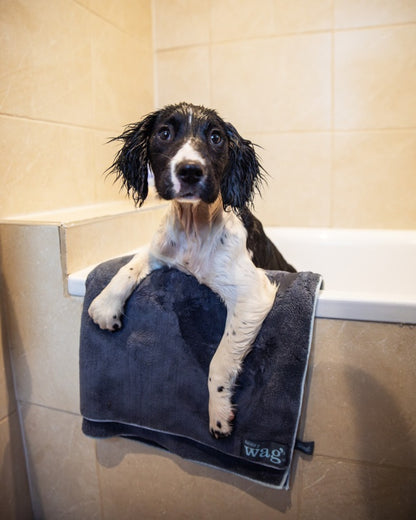 Henry Wag Microfibre Cleaning Towel