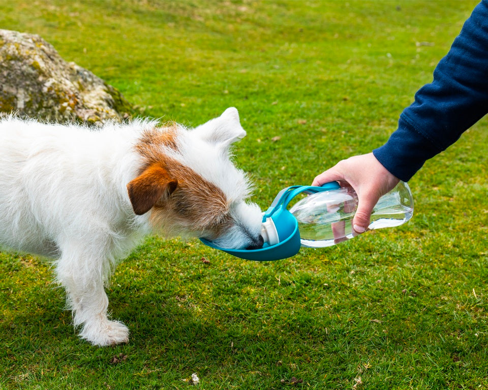 Henry Wag Water Bottle With Leaf Bowl
