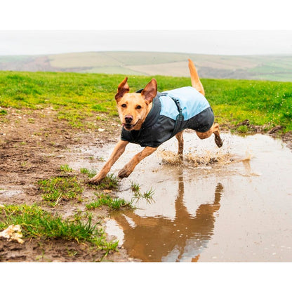 Henry Wag Waterproof Dog Coat