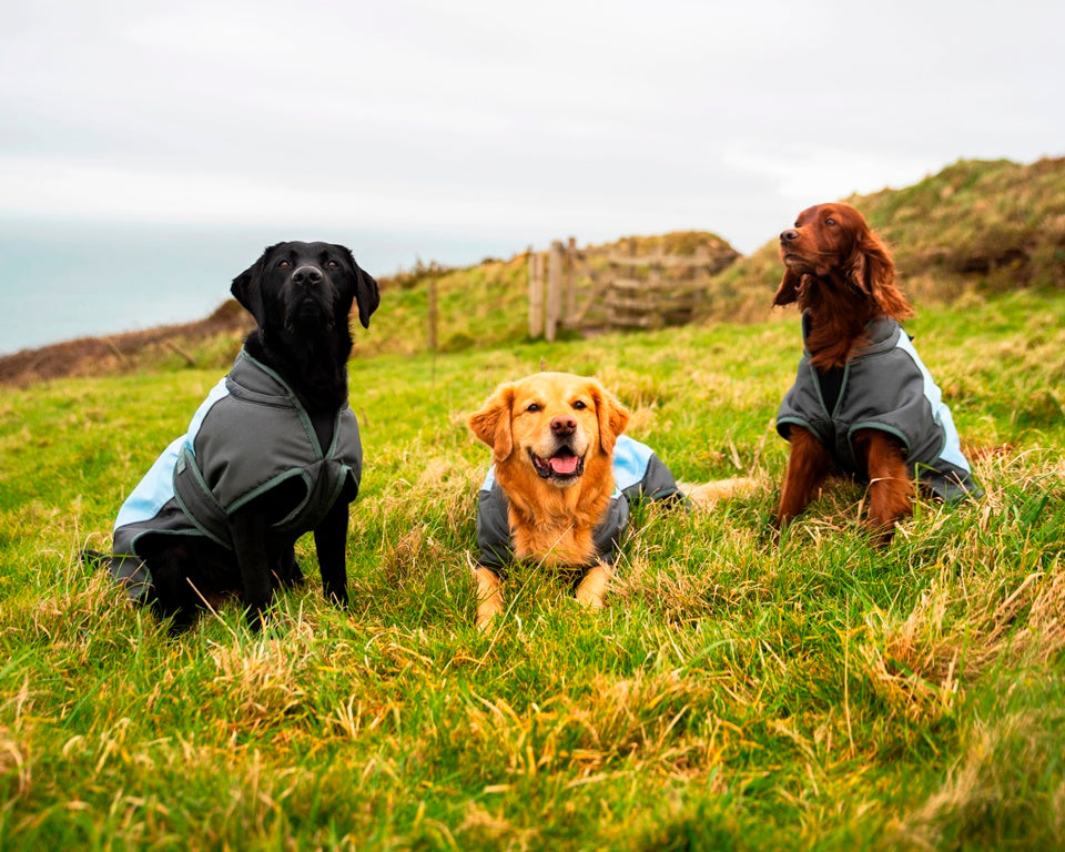 Henry Wag Waterproof Dog Coat