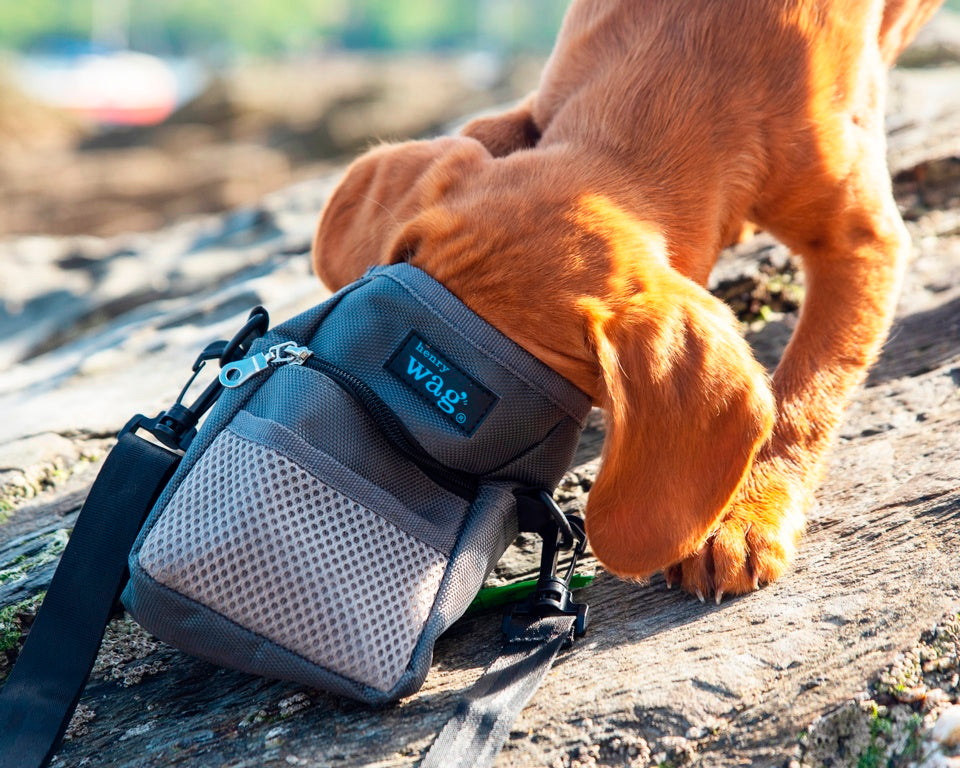 Henry Wag Treat Travel Bag