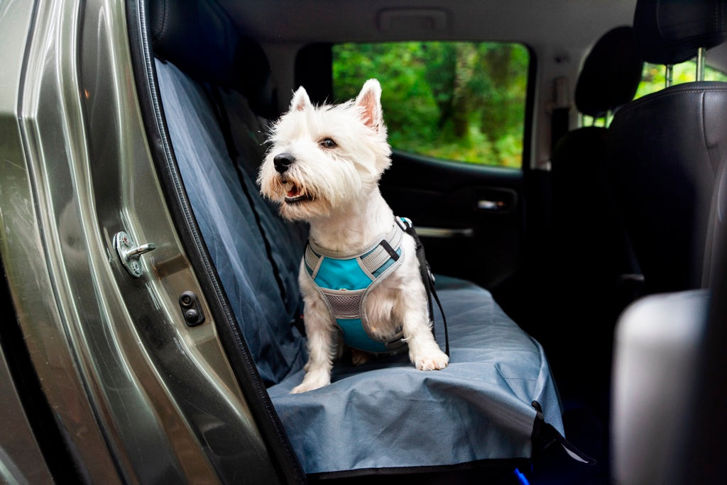 Henry Wag Dog Travel Harness