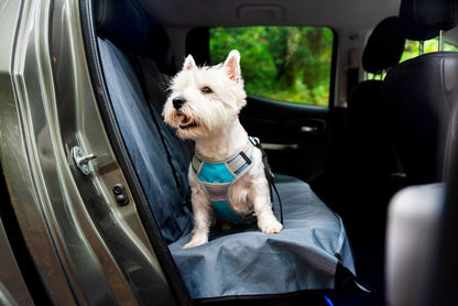 Henry Wag Dog Travel Harness