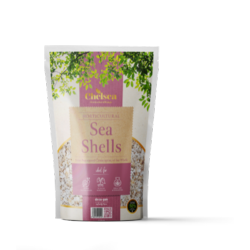 Deco-Pak Chelsea Horticultural Sea Shells