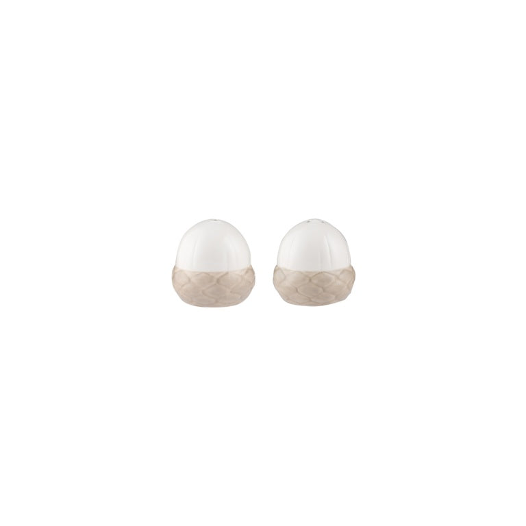 Price  Kensington Acorn Salt & Pepper Set