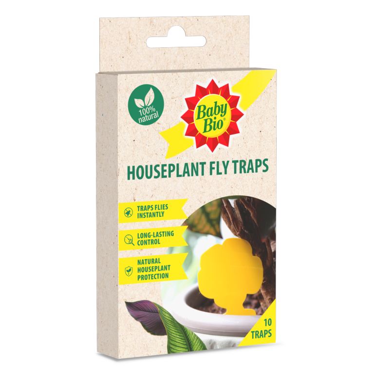 Baby Bio Houseplant Fly Traps