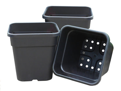 Garland Square Tomato Pots Black (21cm)