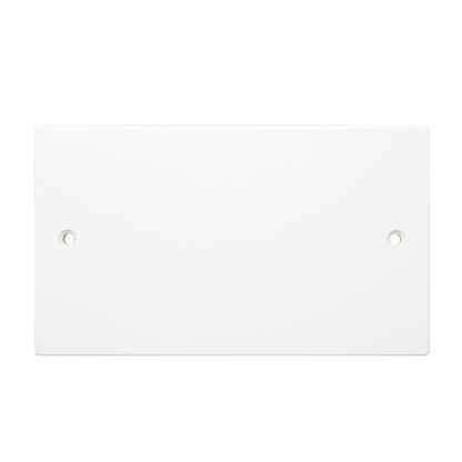 Securlec 2 Gang Blanking Plate Square Edge