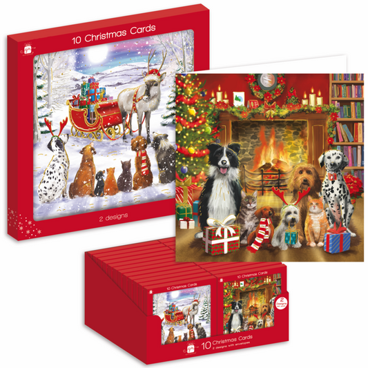 Ig Design Square Christmas Cards Pack 10 Pets
