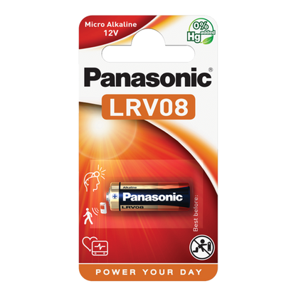 Panasonic Car Alarm Battery Small 12 Volt Single Card 1