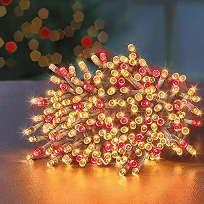 Premier 800 LED Rose Gold Ultra Bright Cluster Red & Vintage Gold