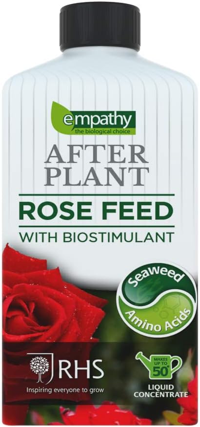 Empathy After Plant Rose Feed