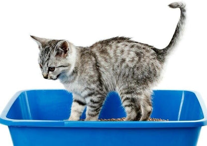 Whitefurze 42cm Cat Litter Tray Assorted