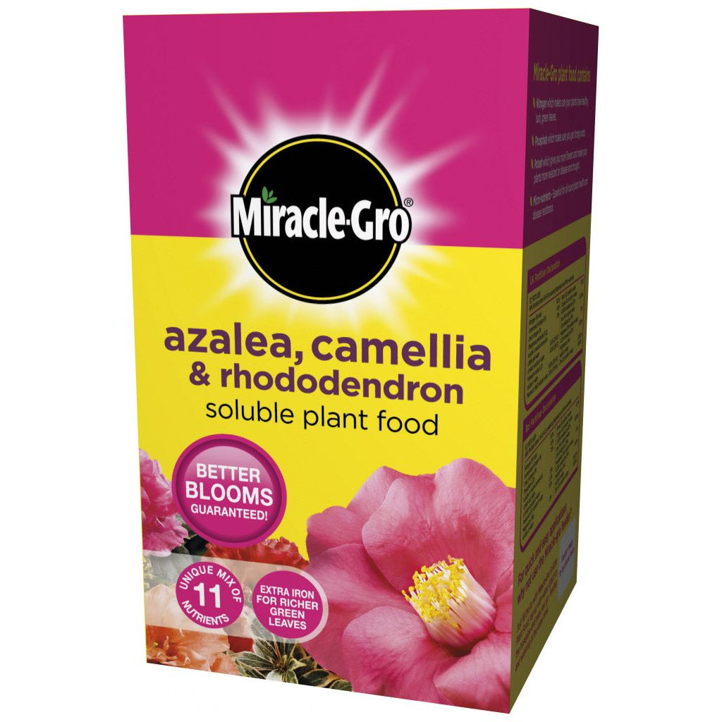 Miracle-Gro® Azalea, Camellia & Rhododendron Soluble Plant Food 1kg