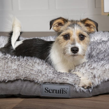 Scruffs Slumber Mattress Assorted