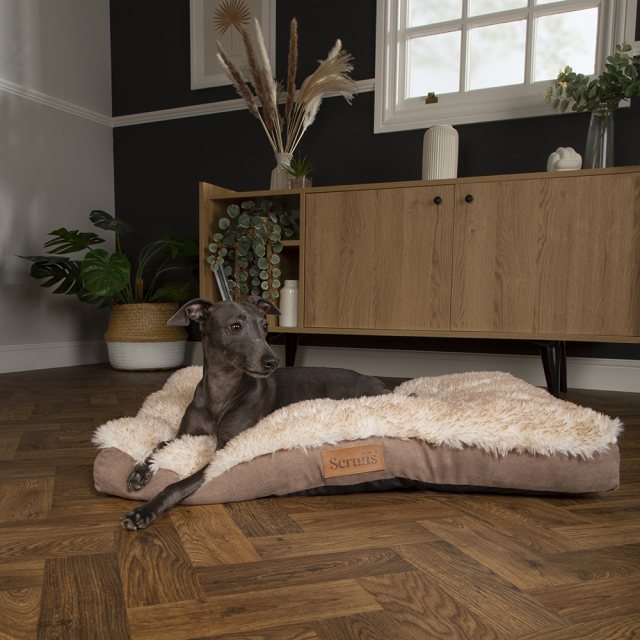 Scruffs Slumber Mattress Assorted