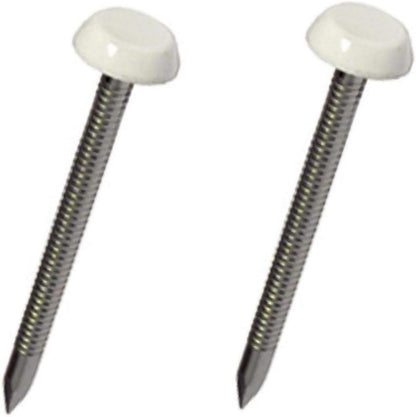 Securfix S/S Plastic Headed Pin White 40mm 50pk