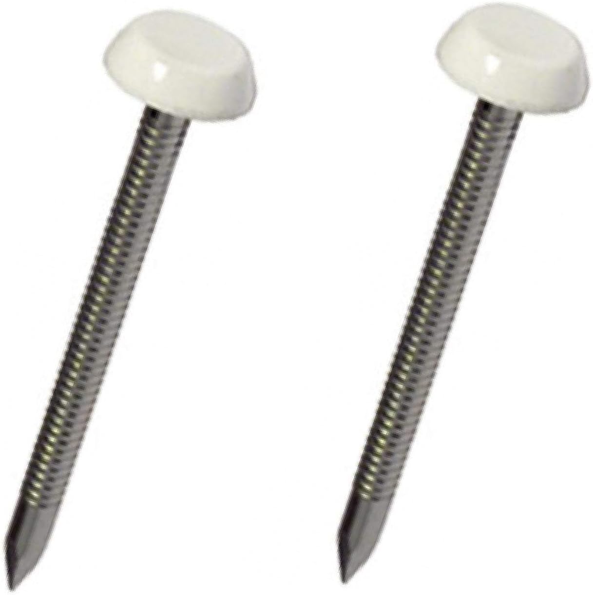 Securfix S/S Plastic Headed Nail White 40mm 50pk
