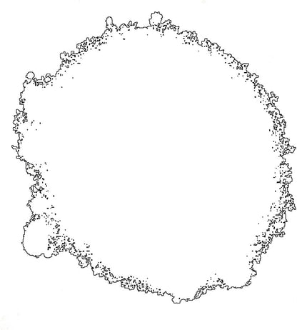 Rustoleum Rad Enamel White Gloss S/Pnt 400ml