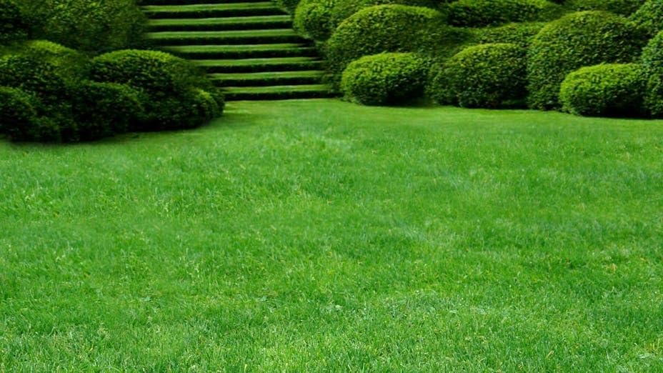 Miracle-Gro® Peat Free Lawn Dressing