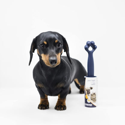 Korbond Pet Hair Roller Refill Fragranced