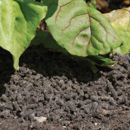 Defenders Slugs Away Wool Pellets