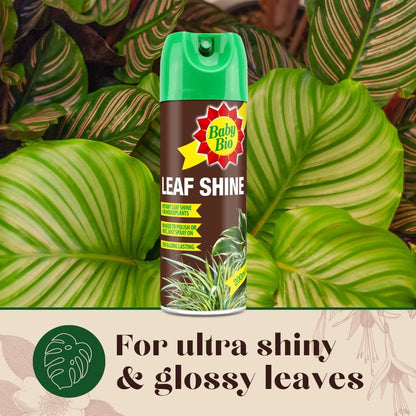 Baby Bio Leaf Shine